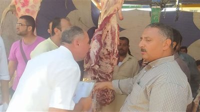 إعدام 75 كيلو مجمدات وتحرير 21 محضرًا في حملة 100 يوم صحة بالإسماعيلية