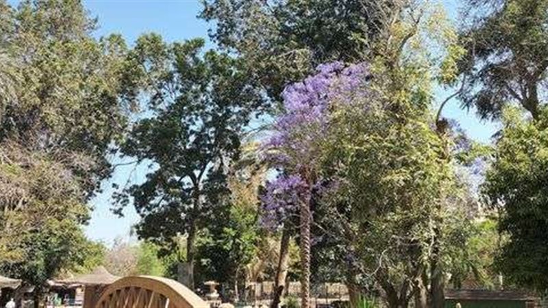 حديقة الحيوان