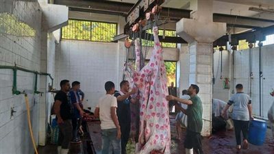 مجازر المنيا جاهزة لاستقبال عيد الأضحى المبارك