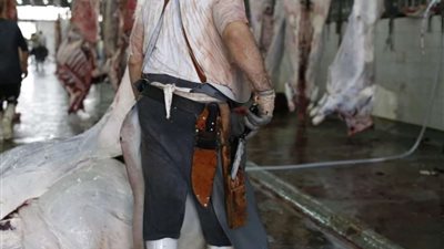 مجازر القاهرة تواصل اليوم استقبال أضاحى المواطنين مجانا