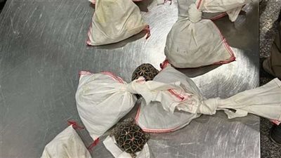 واقعة غريبة.. حقائب مصري بها 73 ثعبانًا في مطار القاهرة