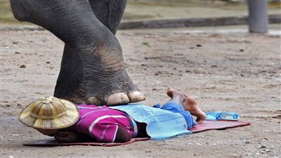 أب يضحى بنجلته من أجل لقطة