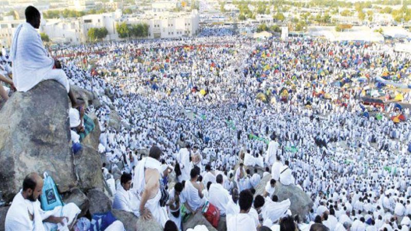 وفود الحجاج لعرفات