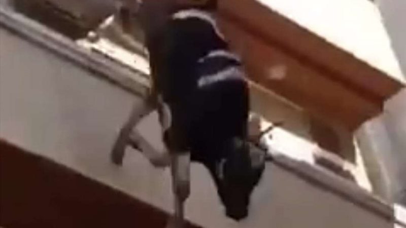 سقوط عجل حربا من