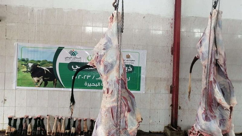 أورمان البحيرة تبدأ