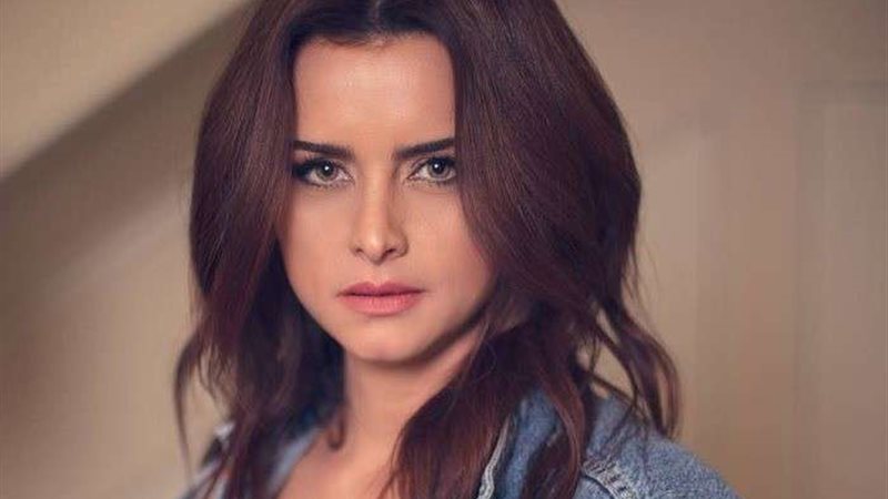 الفنانة نور