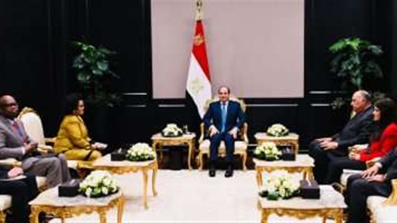 الرئيس السيسي صوره