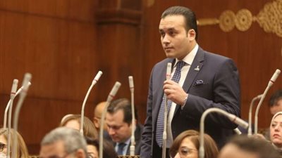 عضو بـ«الشيوخ»: ثورة 30 يونيو أنقذت مصر وأعادتها إلى الصف العربي