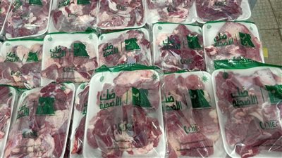 مصر الخير : نحر  ١١٩ عجل خلال أول وثاني أيام عيد الأضحى