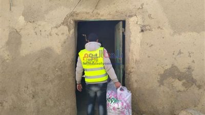ذبح 30 عجل أضاحى بالمنوفية