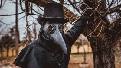 حاملة الوباء الأخطر في التاريخ.. حيوان يجتاح دولة أجنبية (فيديو وصور)