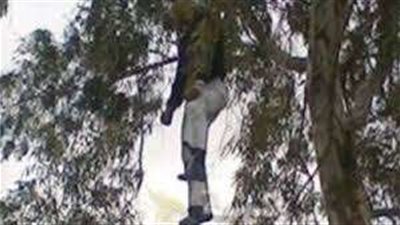 جهود مكثفة لكشف غموض العثور على جثة شخص مشنوقًا على شجرة بالغربية