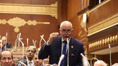 برلماني: الرئيس السيسي يحقق ما يراه البعض مستحيلًا