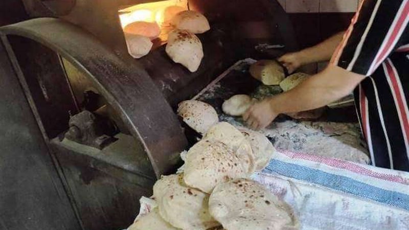 حملات تموينية الاسكندرية