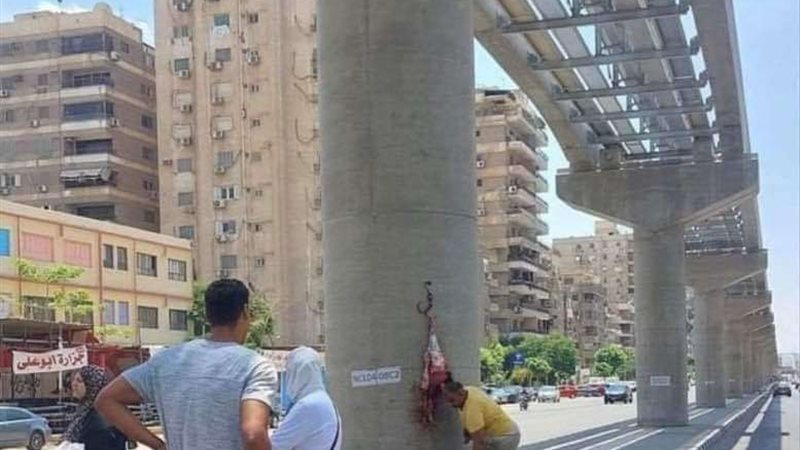 جزار المورونيل
