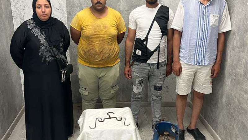 جزار المونوريل