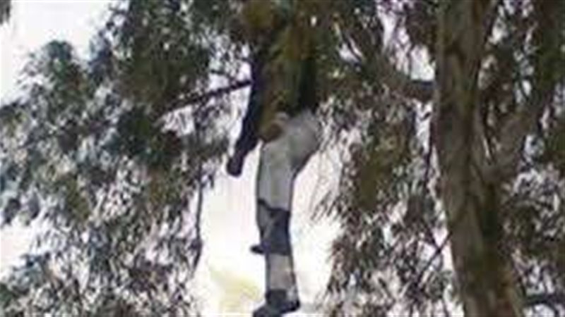 صورة القتيل