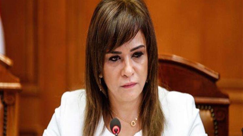 النائبة سحر طلعت