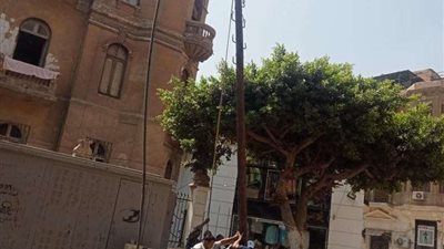 سقوط نخلة وأعمدة إنارة بمنزل عباس العقاد بمصر الجديدة
