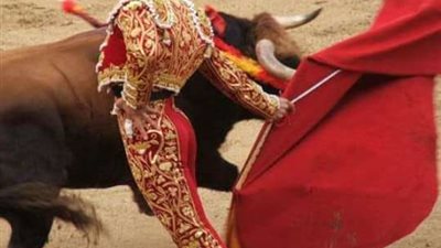 كل ما تريد معرفته عن مصارعة الثيران| تفاصيل