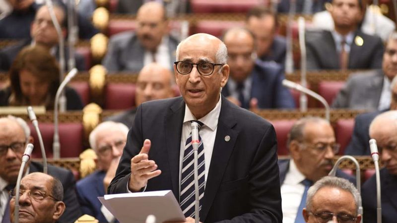 النائب حسانين توفيق