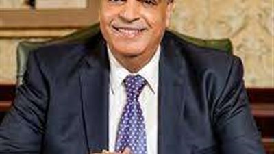 عضو مجلس الشيوخ: مبادرة «ابدأ» تعزز شعار صنع في مصر