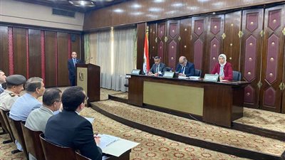 بمليار جنيه.. دعم صندوق 