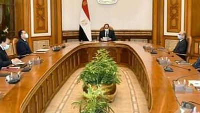 الرئيس السيسي يتطلع على كافة التفاصيل ذات الصلة بحادث قطاري سوهاج