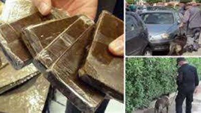 تعرف على جهود إدارة مكافحة المخدرات خلال 24 ساعة