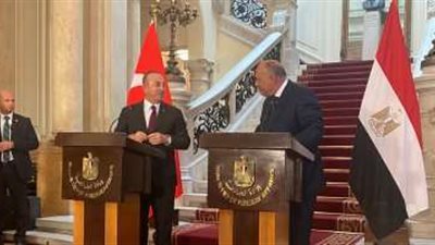 ترحيب عربي بعودة السفراء بين مصر وتركيا
