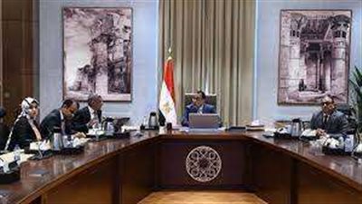 رئيس الوزراء يتابع مع الرئيس التنفيذي لوكالة الفضاء المصرية عددًا من المشروعات