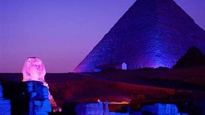 مصر تشارك في المبادرة العالمية 