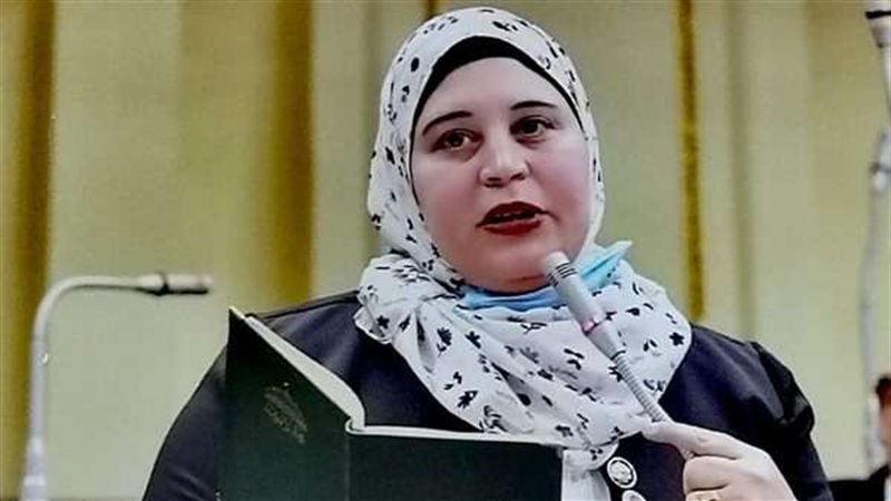 النائبة ابتهاج الطوخي