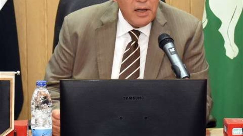محافظ الشرقيه