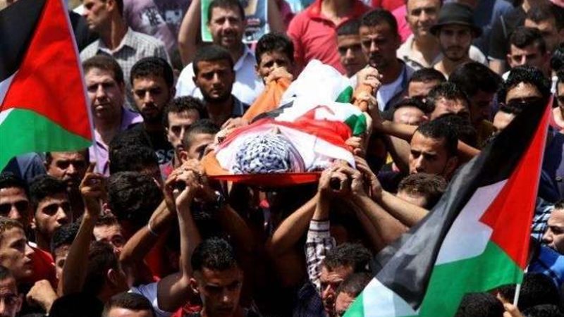 فلسطين