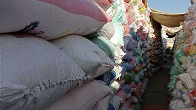 توريد 398 ألف طن قمح لصوامع بالبحيرة