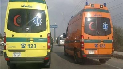 إصابة 4 أشخاص في انقلاب سيارة بـصحراوي البحيرة