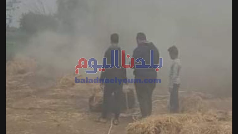 بلدنا اليوم