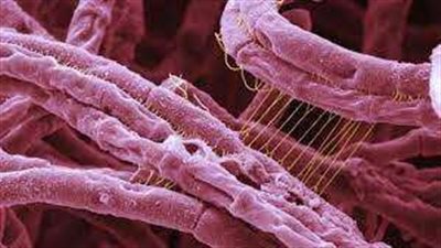 شاهد.. إندونيسيا تدق ناقوس الخطر بعد سقوط وفيات وإصابات بـ