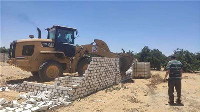 تنفيذاً لتوجيهات المحافظ.. إزالة فورية لـ 3 حالات تعدٍ على الأراضي الزراعية بكفر الشيخ