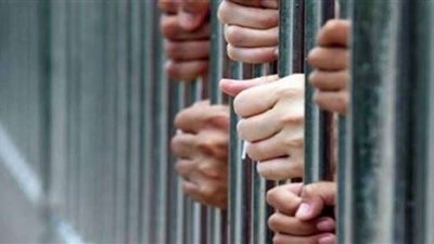 بأسلوب المغافلة.. حبس شقيقين بتهمة سرق حقيبة أموال بالمعادي