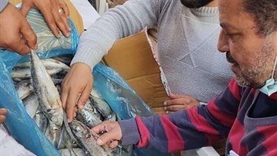 محافظ المنوفية: تحرير 153 محضرً تموينيًا