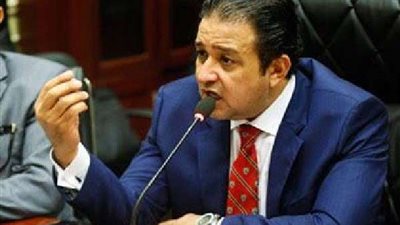 برلماني:  قناة السويس مشروع عملاق وممر ملاحى عظيم