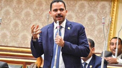 أشرف رشاد يطالب بتدخل دولي لحماية فلسطين