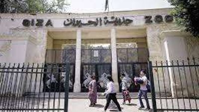 وزارة الزراعة تكشف مستجدات تطوير حديقة الحيوان.. فيديو