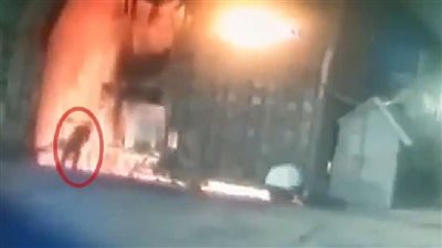 البورصة كلمة السر.. رجل يلقي بنفسه داخل فرن لصهر المعادن (فيديو)