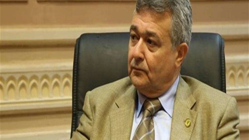 النائب عمرو صدقي