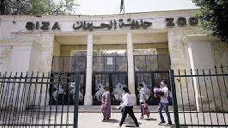 حديقة الحيوان - إرشيفية