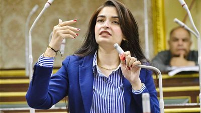خاص| النائبة إيرين سعيد تطالب بتفعيل التعقب الإليكتروني للرقابة على الأدوية