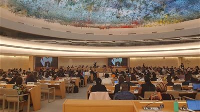 وزير الخارجية يلقي بيان مصر في جلسة النقاش العاجل حول حوادث حرق القرآن الكريم